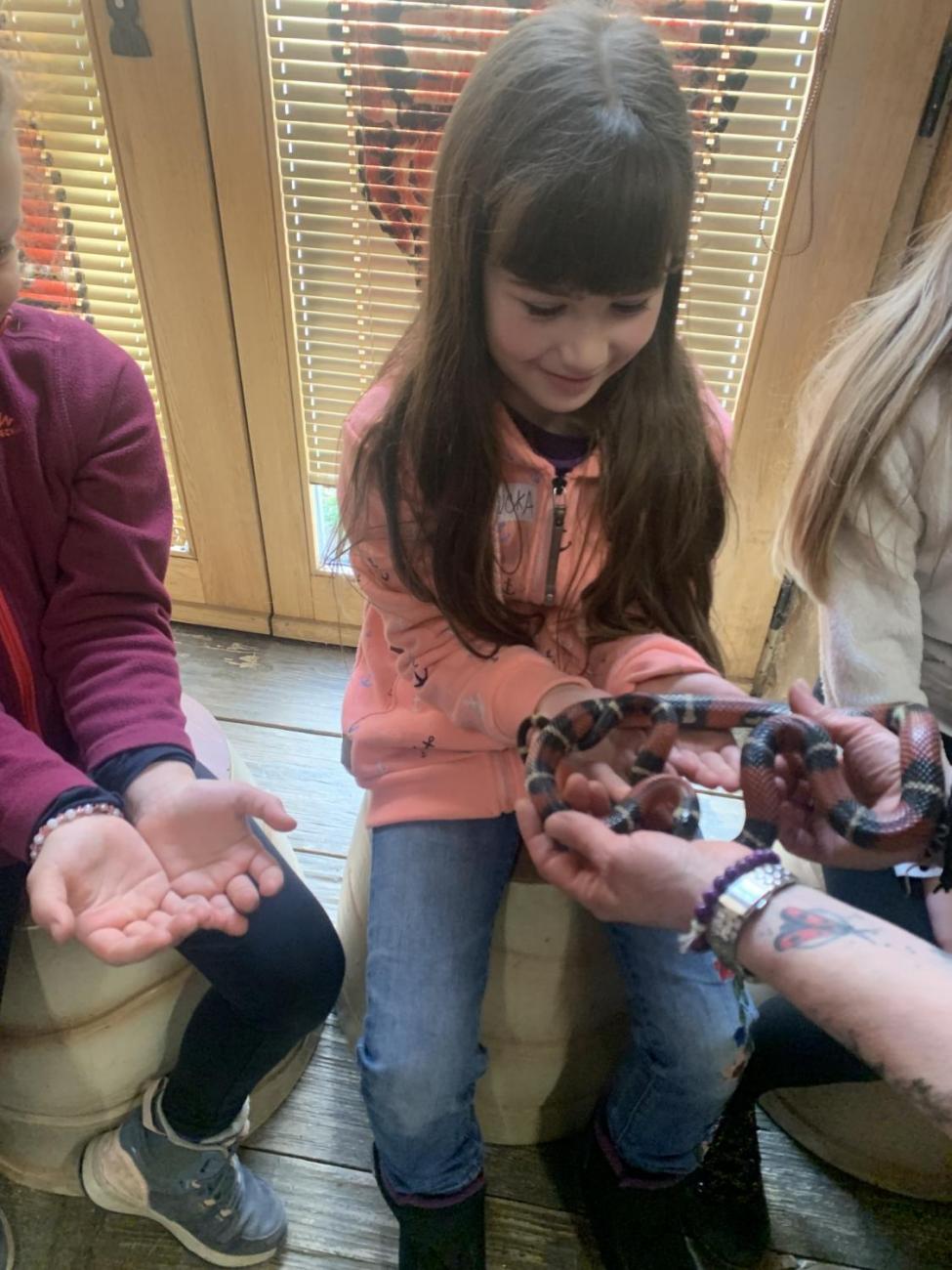 Mazlíčci (Zoo Podpovrch) 2.B