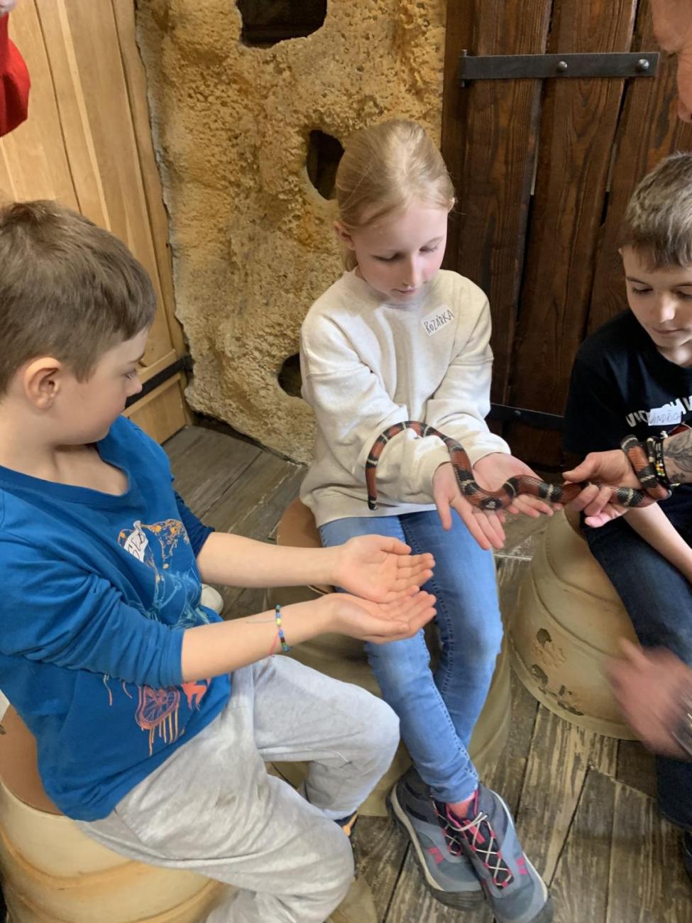 Mazlíčci (Zoo Podpovrch) 2.B