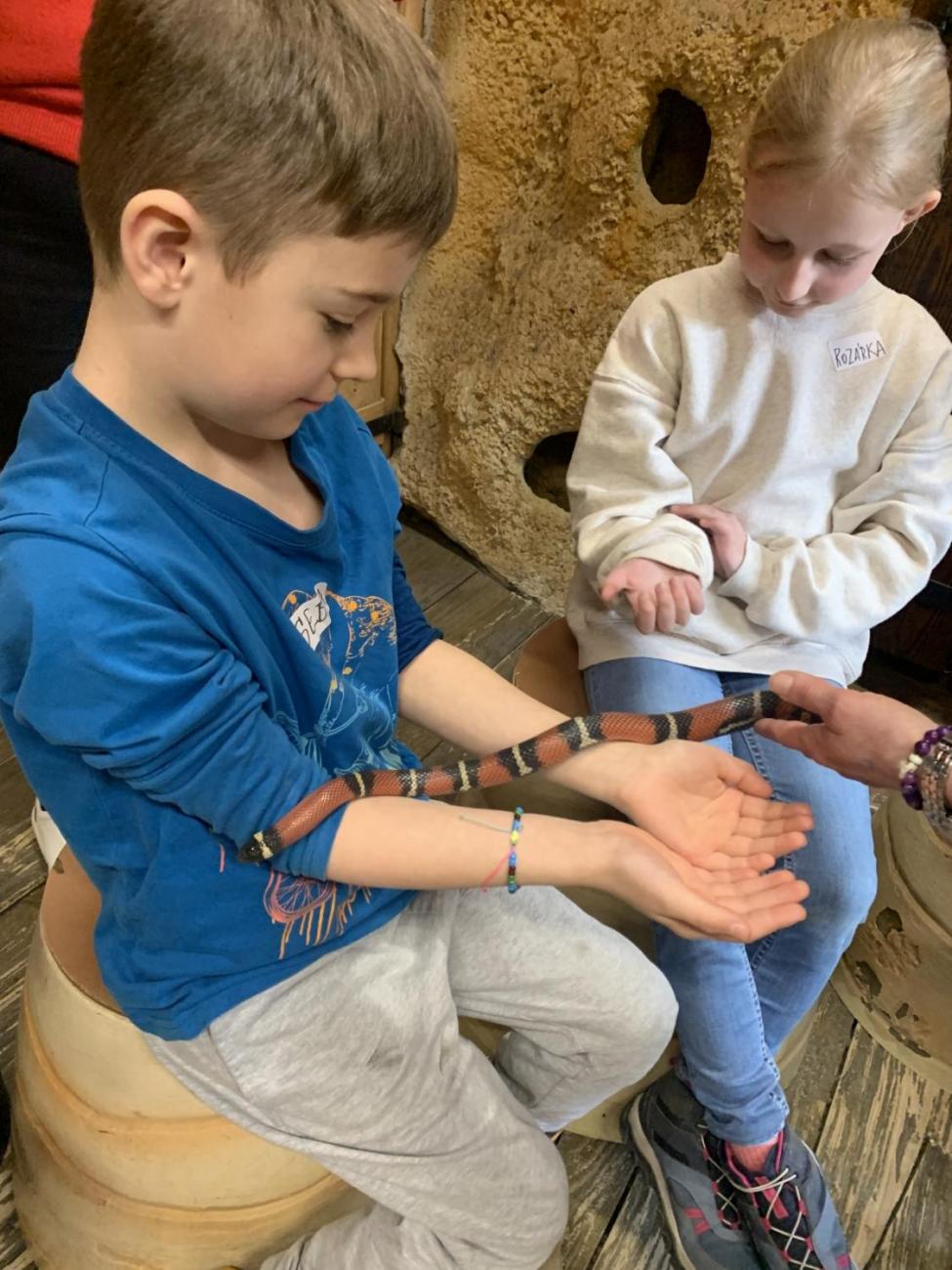 Mazlíčci (Zoo Podpovrch) 2.B