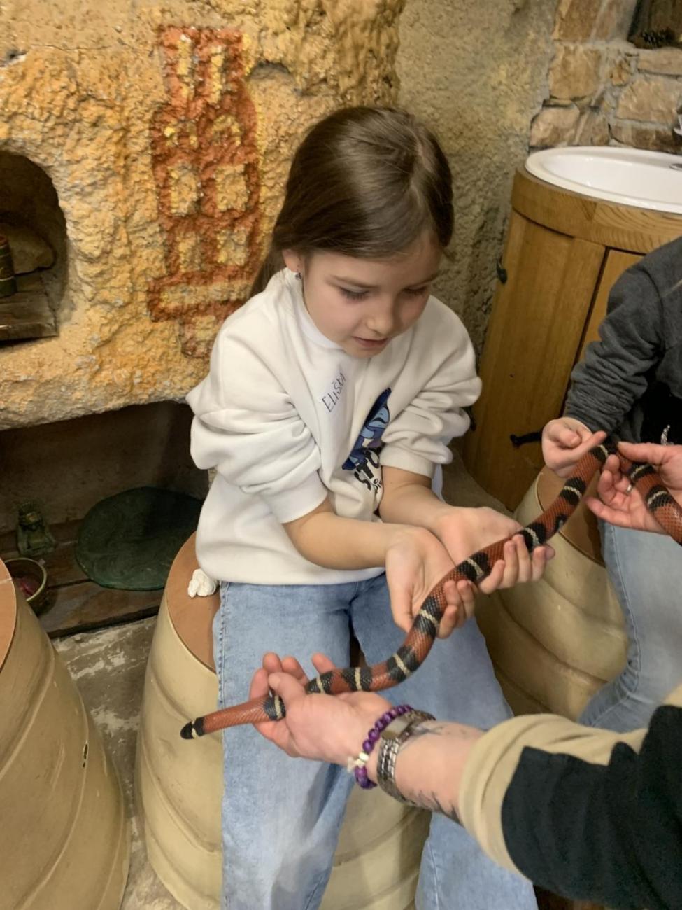 Mazlíčci (Zoo Podpovrch) 2.B