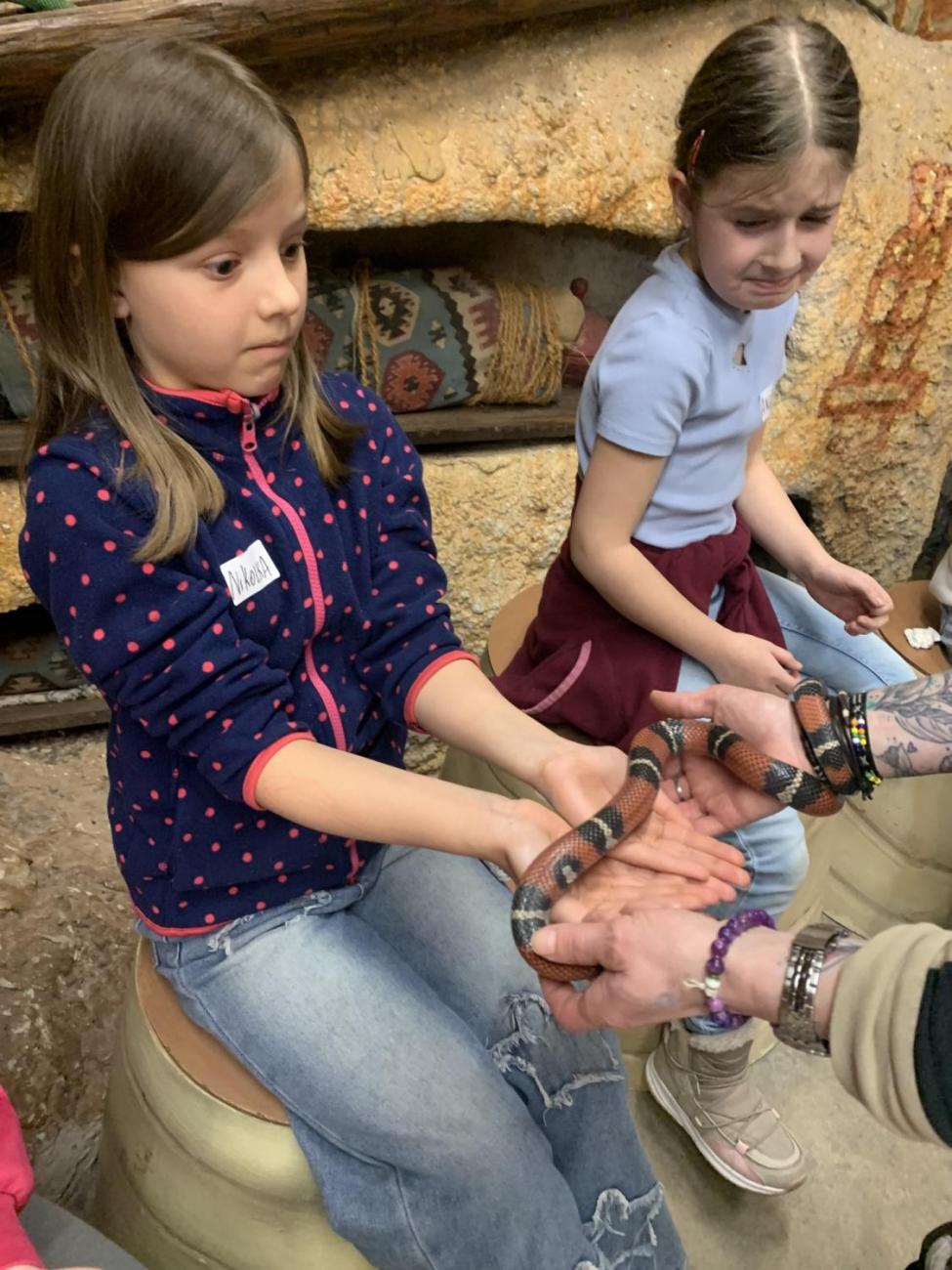 Mazlíčci (Zoo Podpovrch) 2.B