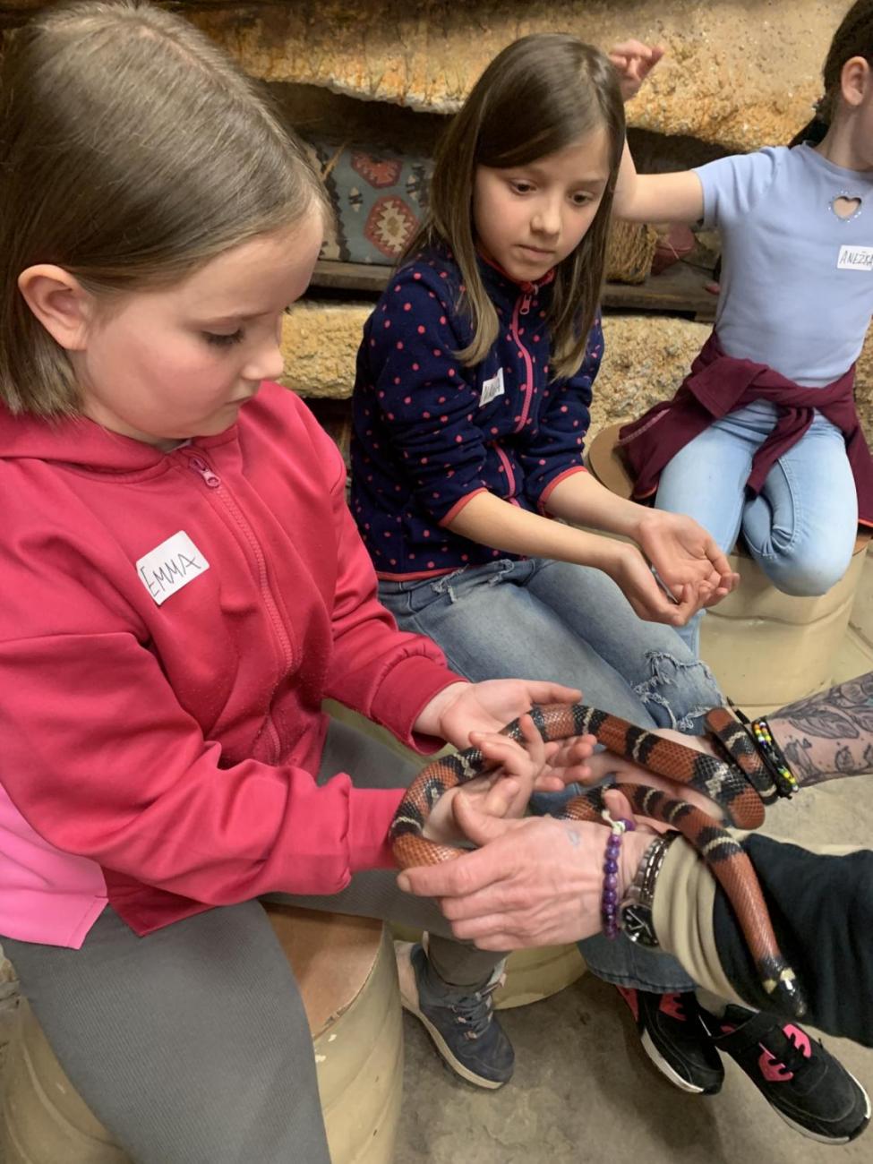 Mazlíčci (Zoo Podpovrch) 2.B