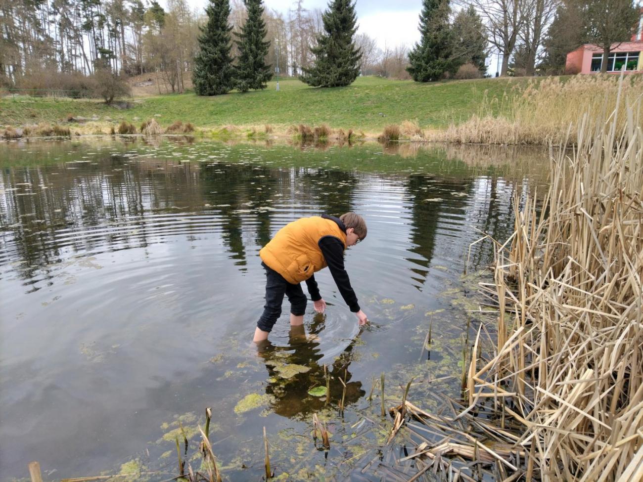 Žáci naší školy opět pomáhali přírodě v rámci akce Čistá Vysočina