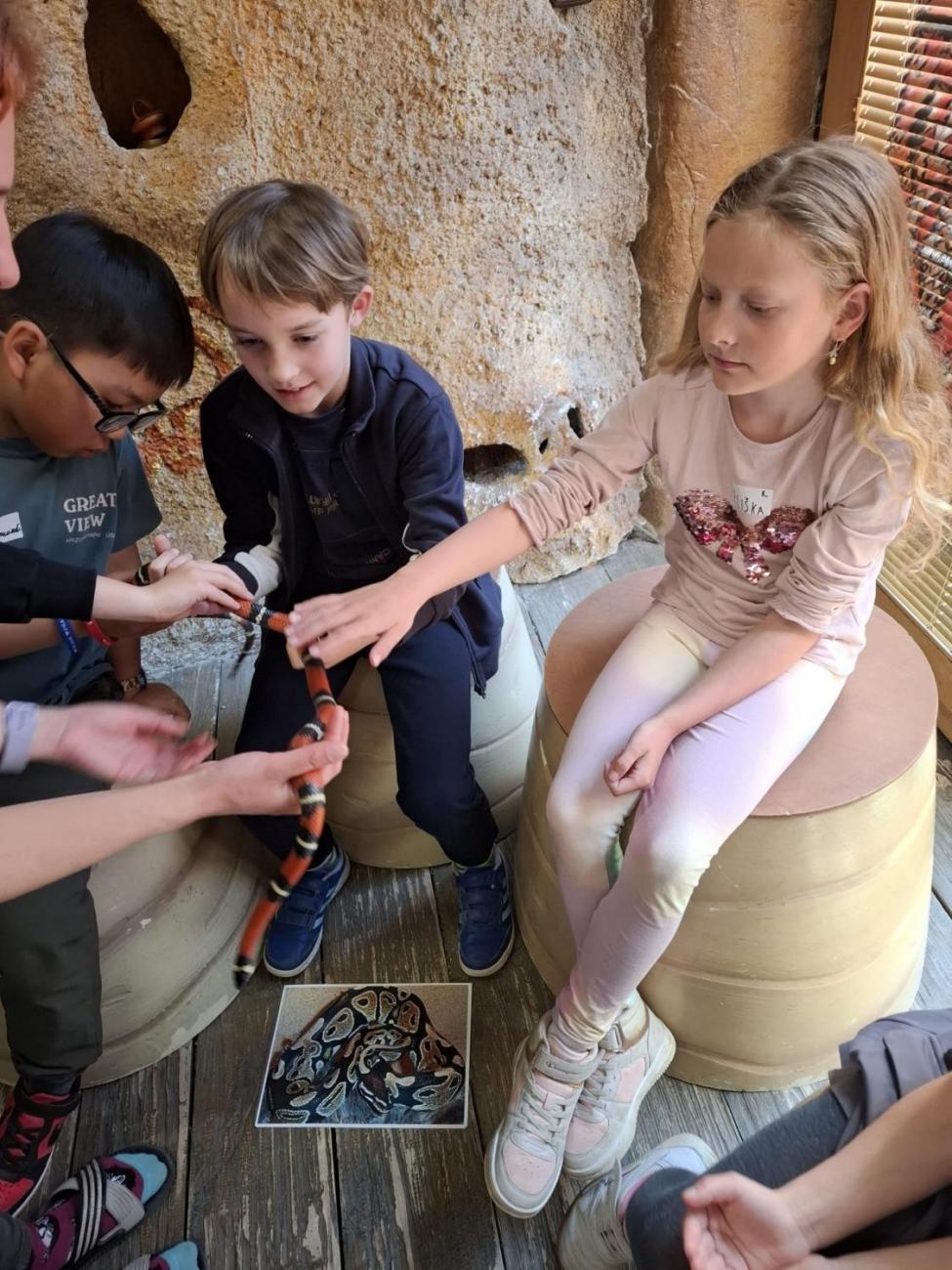 Návštěva ZOO Jihlava – program "Kde se plazí plazi"