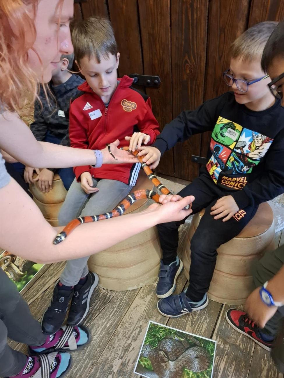 Návštěva ZOO Jihlava – program "Kde se plazí plazi"