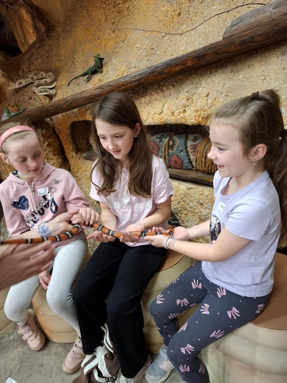 Návštěva ZOO Jihlava – program "Kde se plazí plazi"