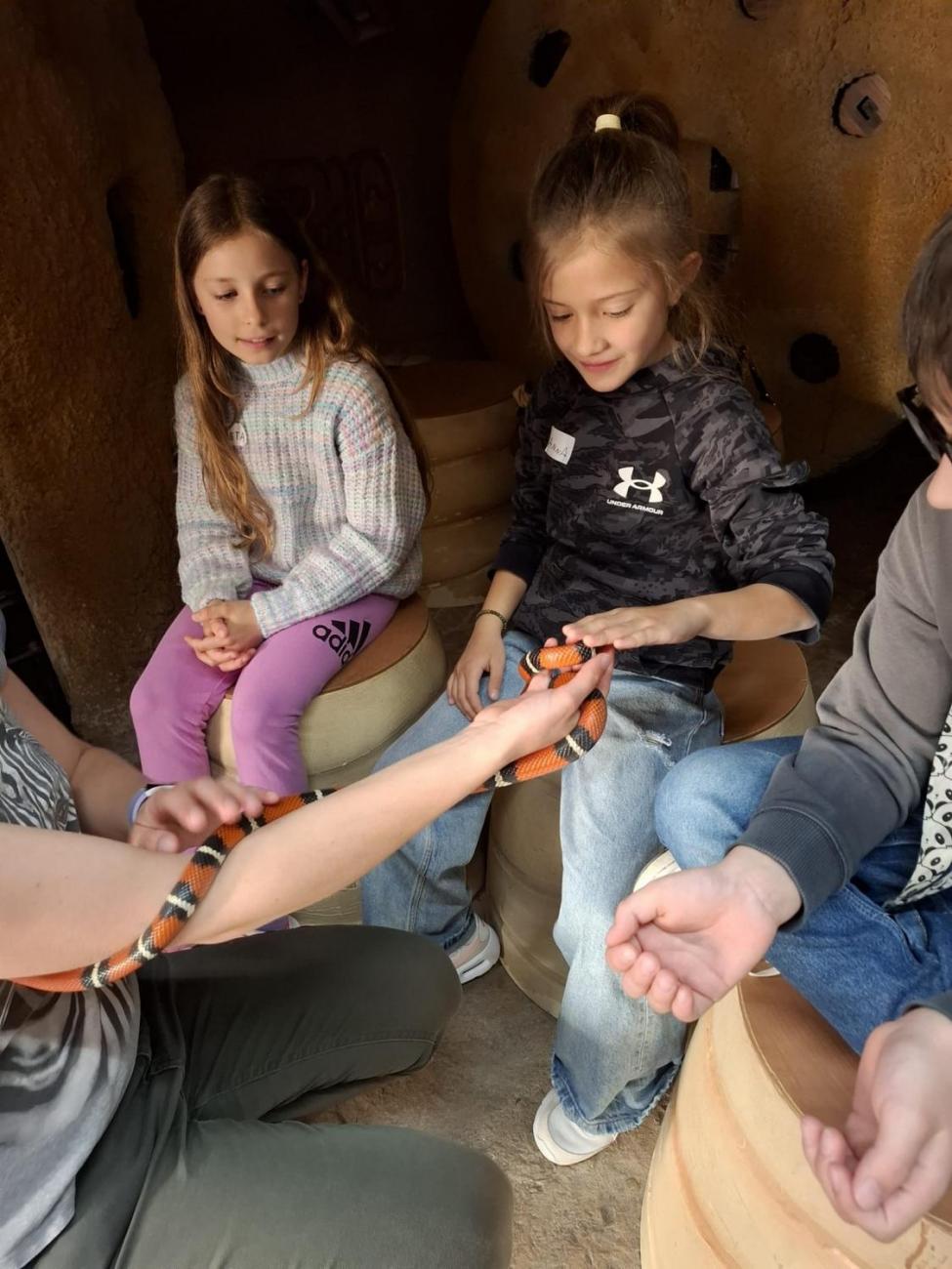 Návštěva ZOO Jihlava – program "Kde se plazí plazi"