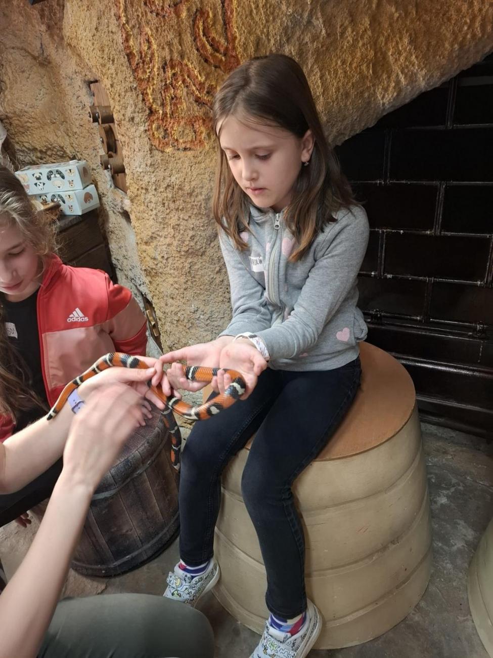 Návštěva ZOO Jihlava – program "Kde se plazí plazi"