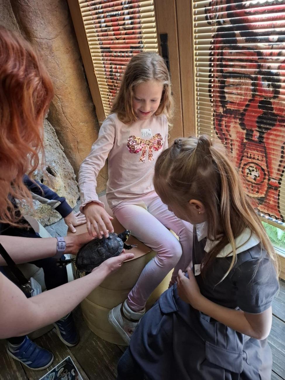 Návštěva ZOO Jihlava – program "Kde se plazí plazi"