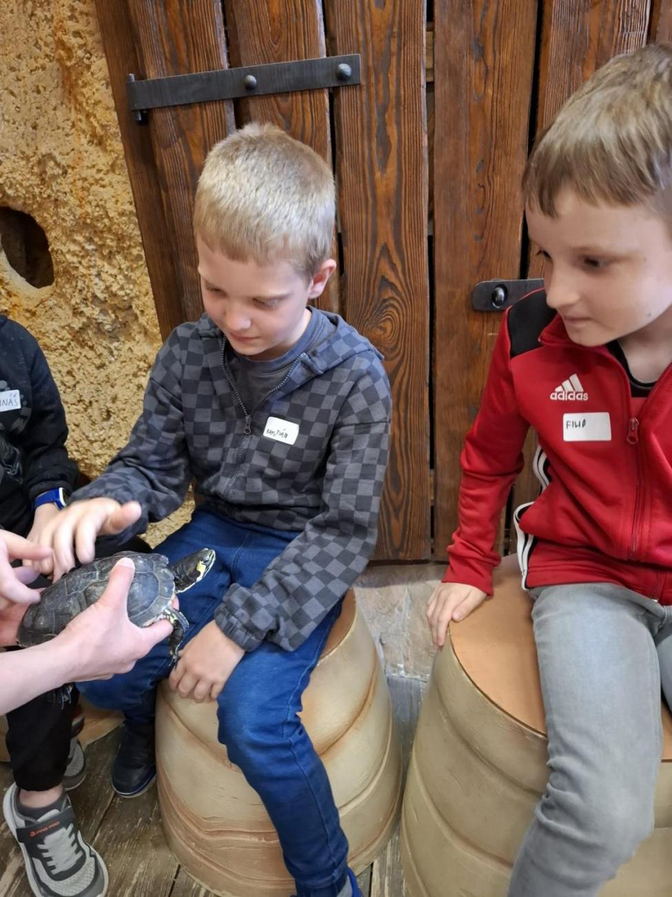 Návštěva ZOO Jihlava – program "Kde se plazí plazi"