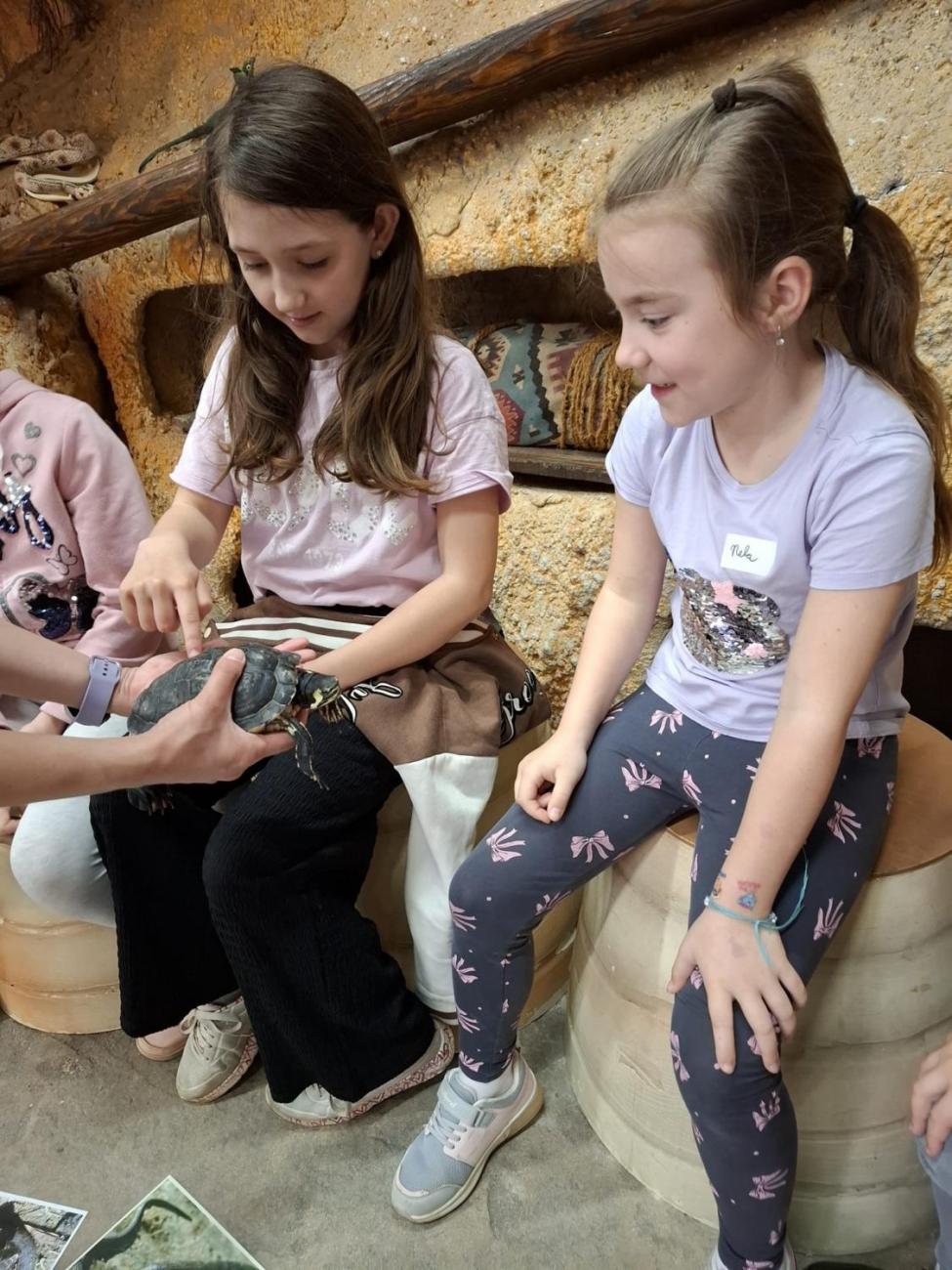 Návštěva ZOO Jihlava – program "Kde se plazí plazi"