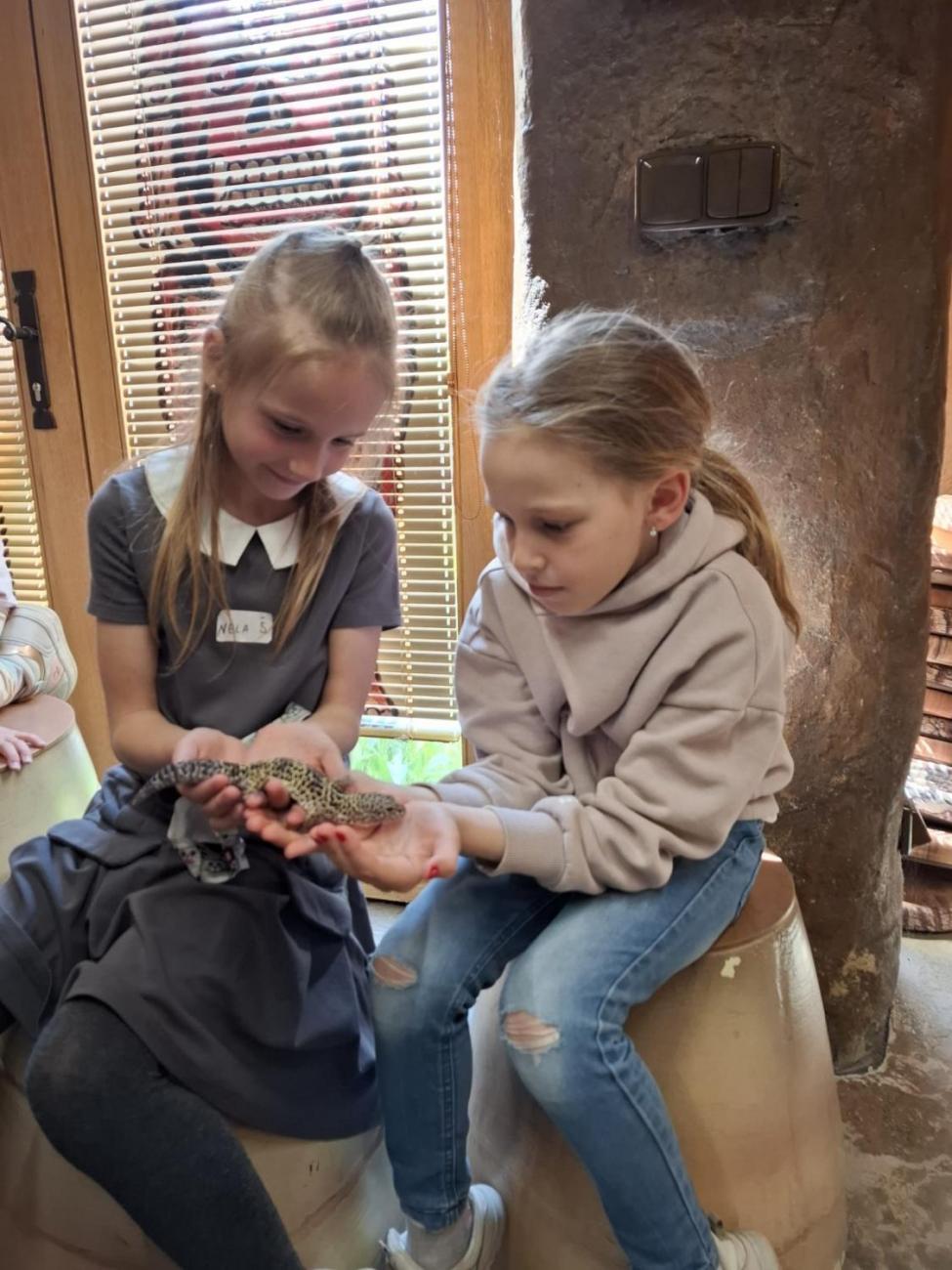 Návštěva ZOO Jihlava – program "Kde se plazí plazi"