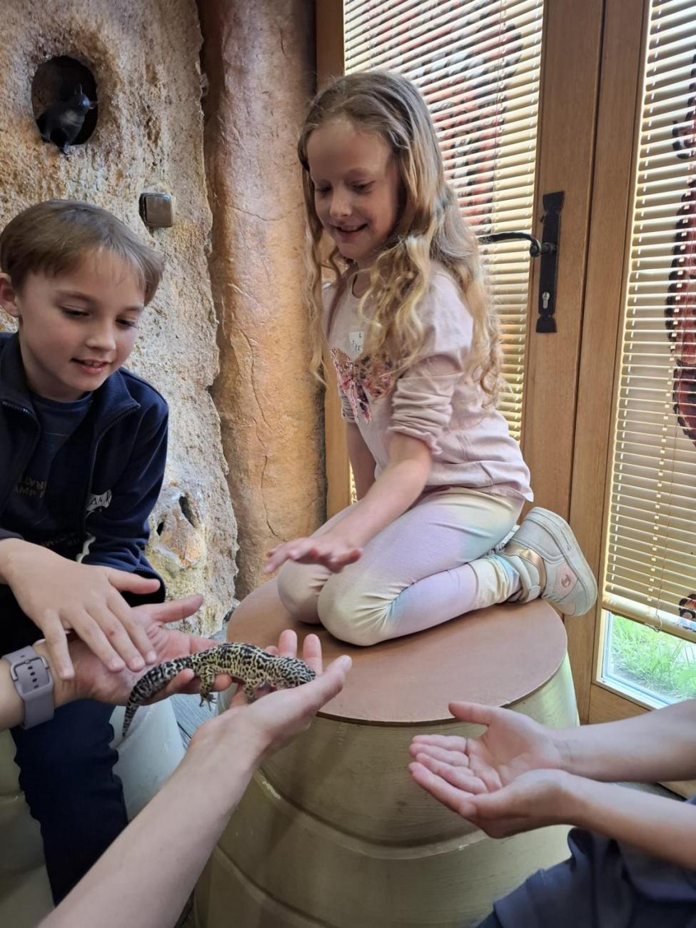 Návštěva ZOO Jihlava – program "Kde se plazí plazi"