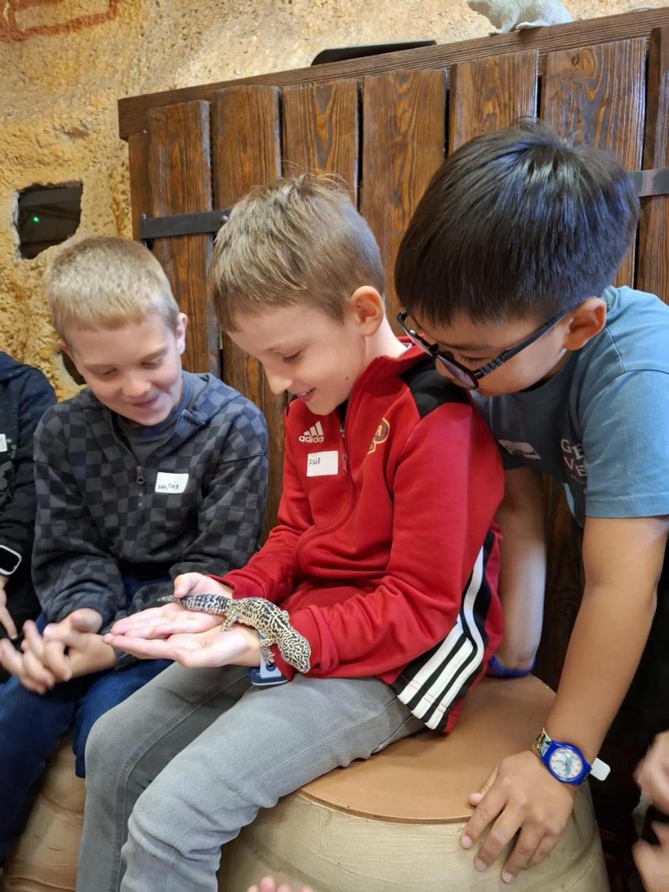 Návštěva ZOO Jihlava – program "Kde se plazí plazi"