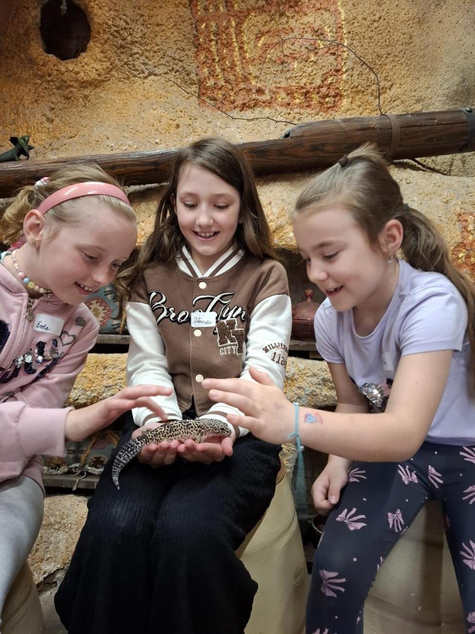 Návštěva ZOO Jihlava – program "Kde se plazí plazi"