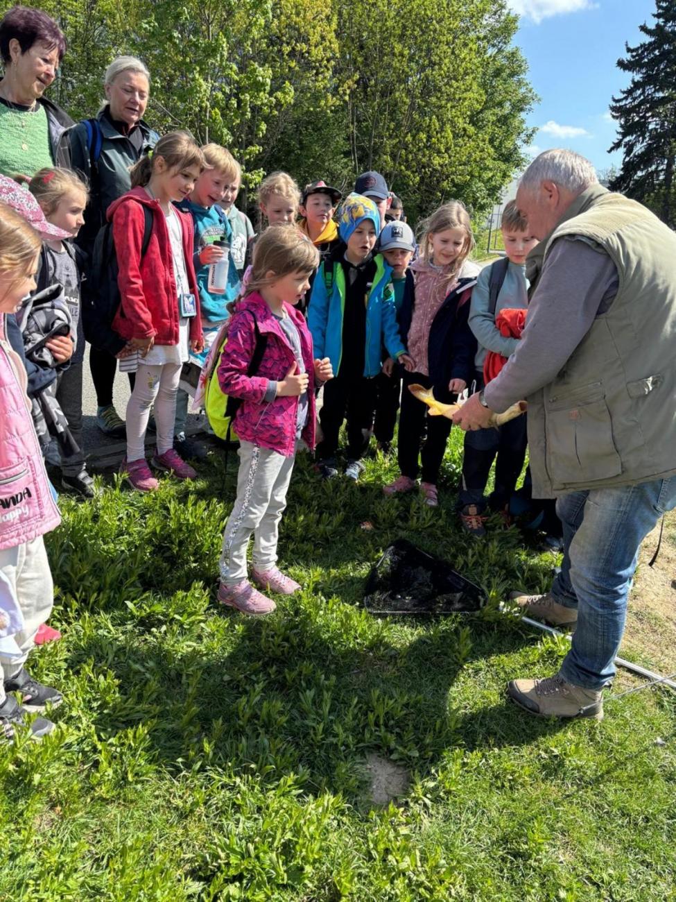 Jarní turistický den – výlet k rybníku Borovinka  1.B
