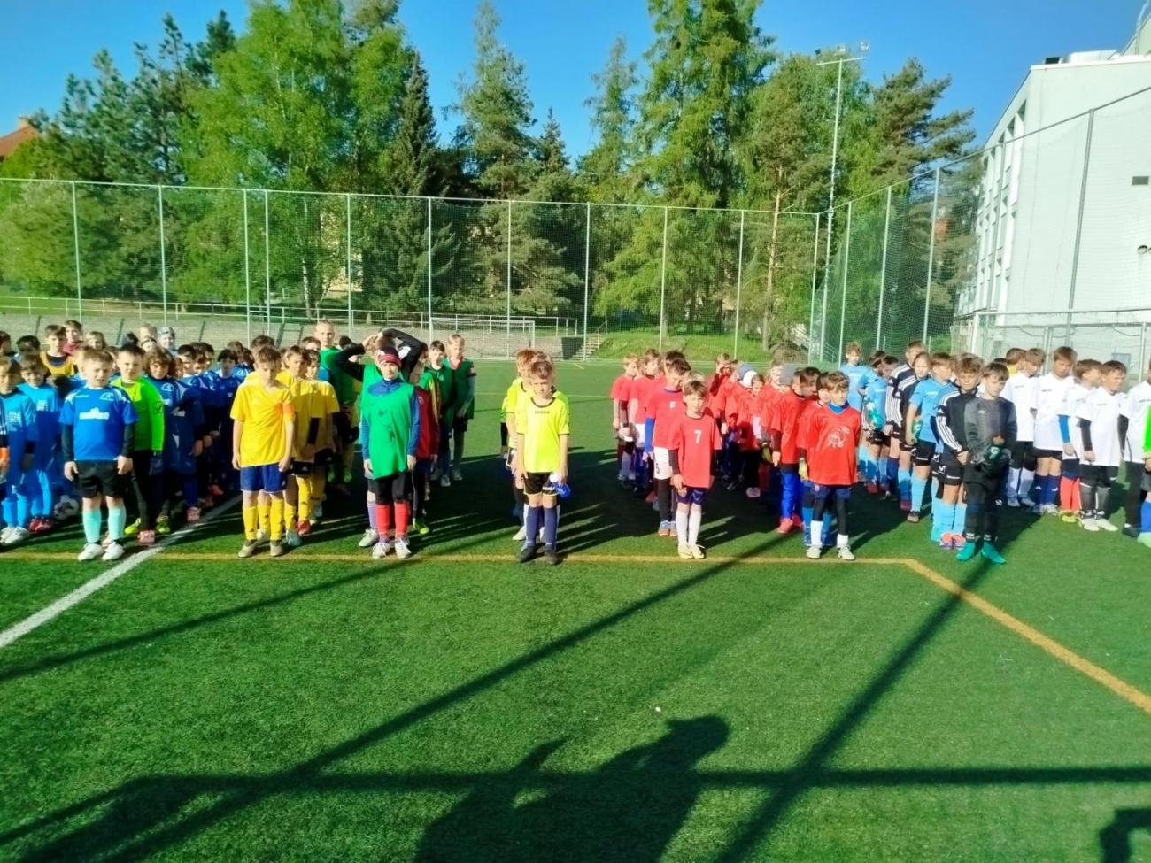 Okresní kolo Mc Donald´s Cupu v minikopané