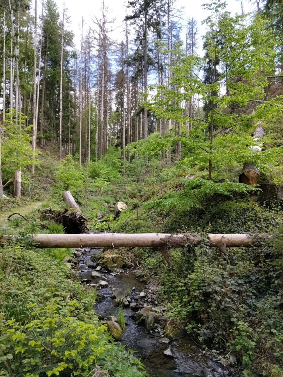 Zlatý list – úspěch našich badatelů