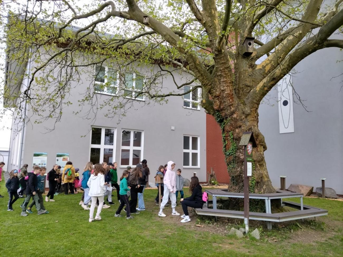 Zlatý list – úspěch našich badatelů