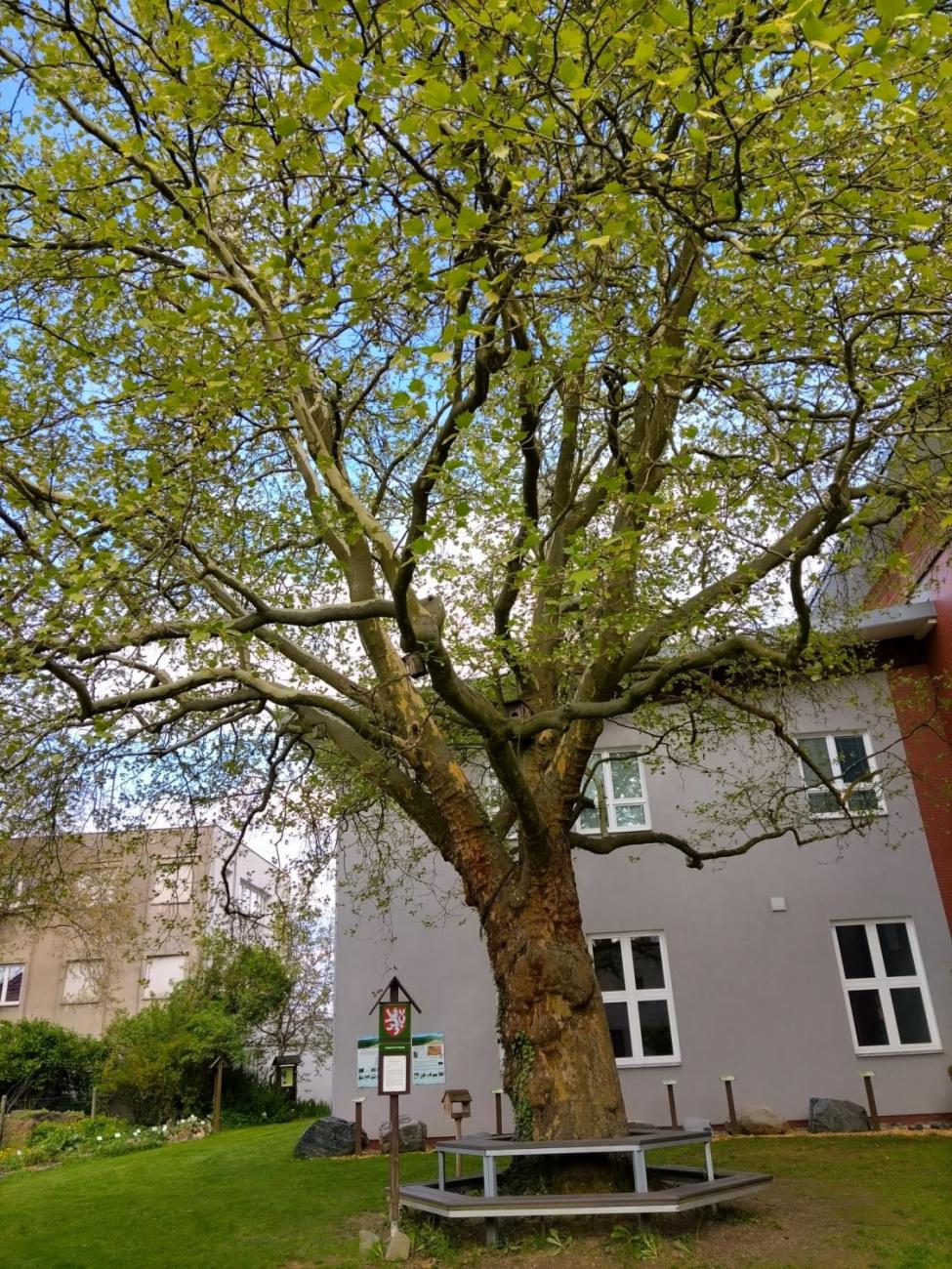 Zlatý list – úspěch našich badatelů