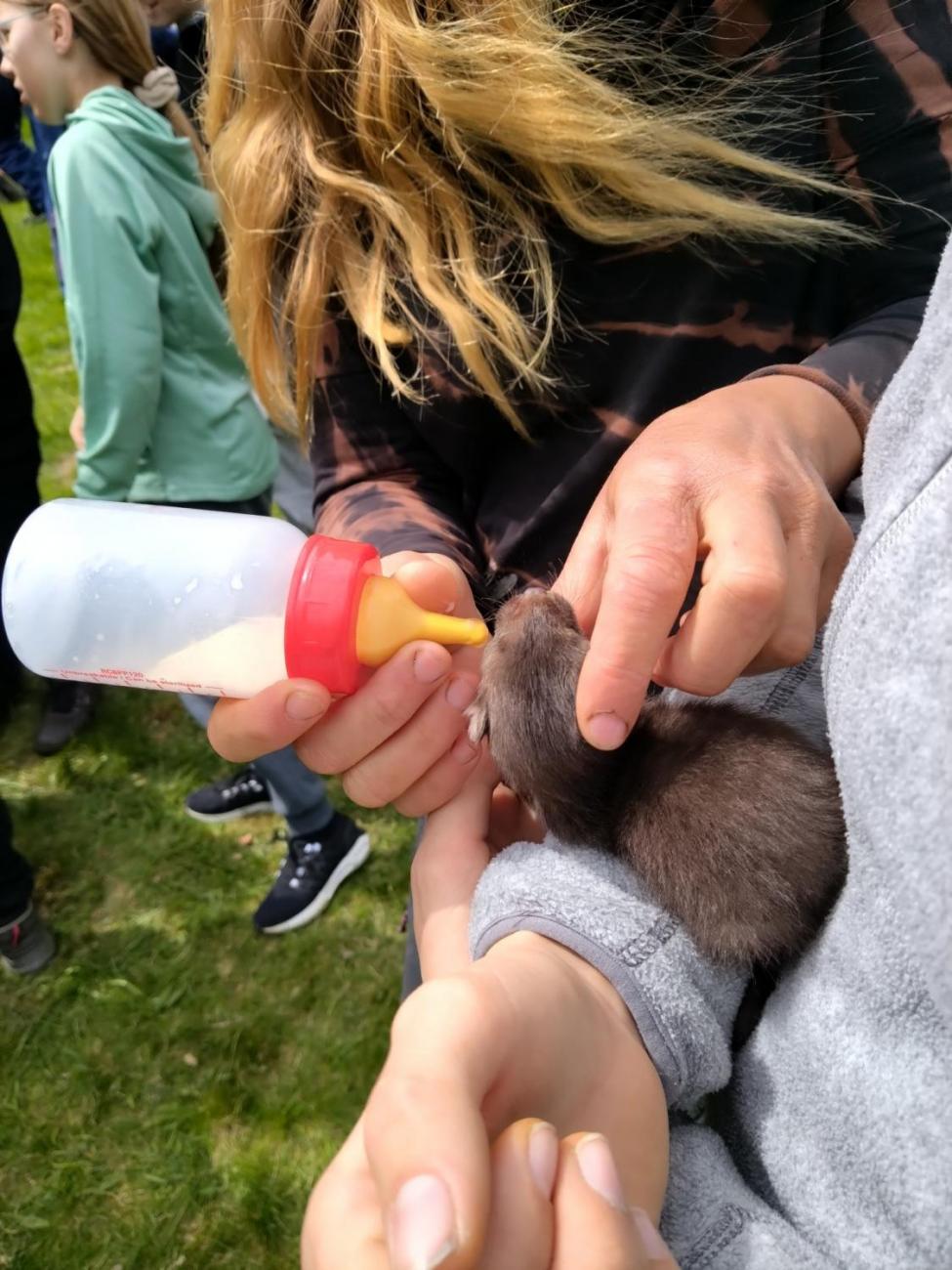 Zlatý list – úspěch našich badatelů