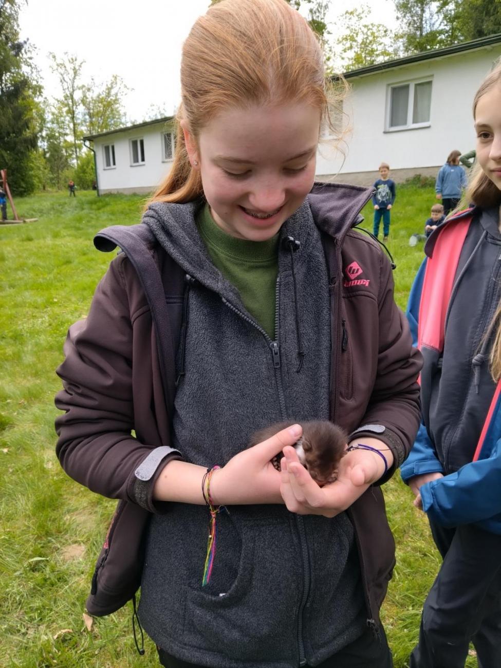 Zlatý list – úspěch našich badatelů