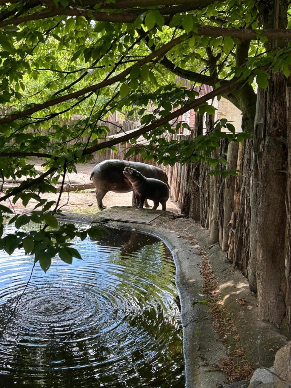 ZOO Jihlava - Program "Hmyzáci a jiné breberky"