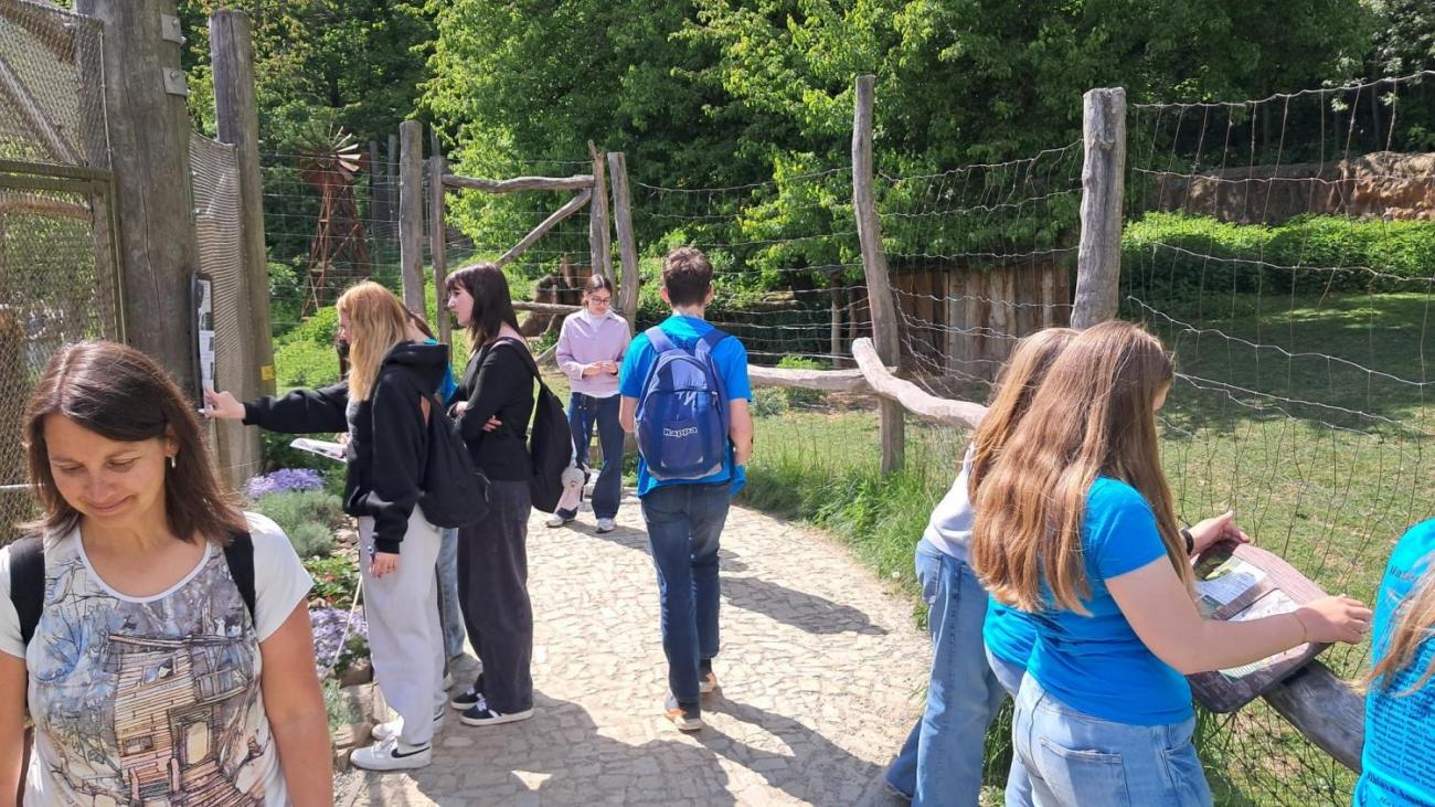 Waterproject - Výměnný pobyt s Holanďany