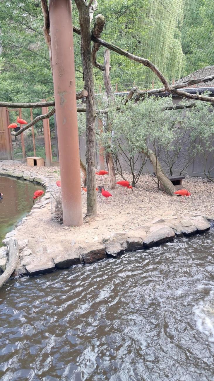 Waterproject - Výměnný pobyt s Holanďany