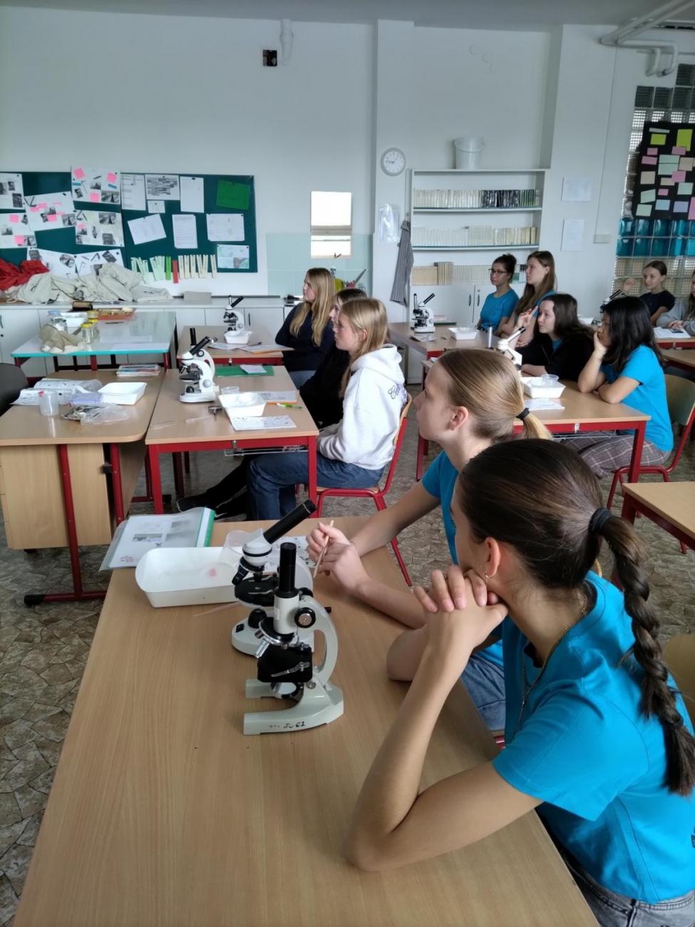 Waterproject - Výměnný pobyt s Holanďany