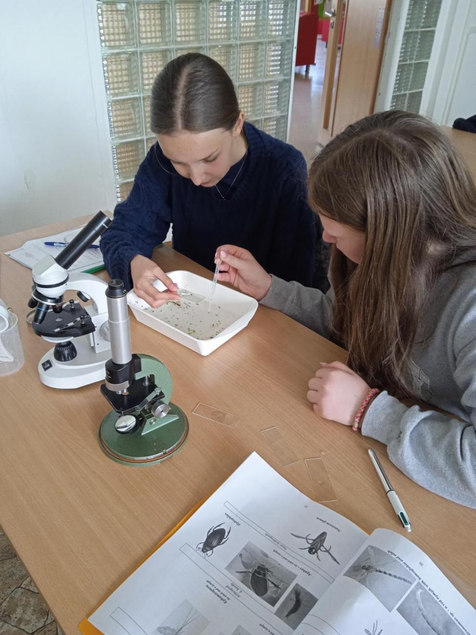 Waterproject - Výměnný pobyt s Holanďany