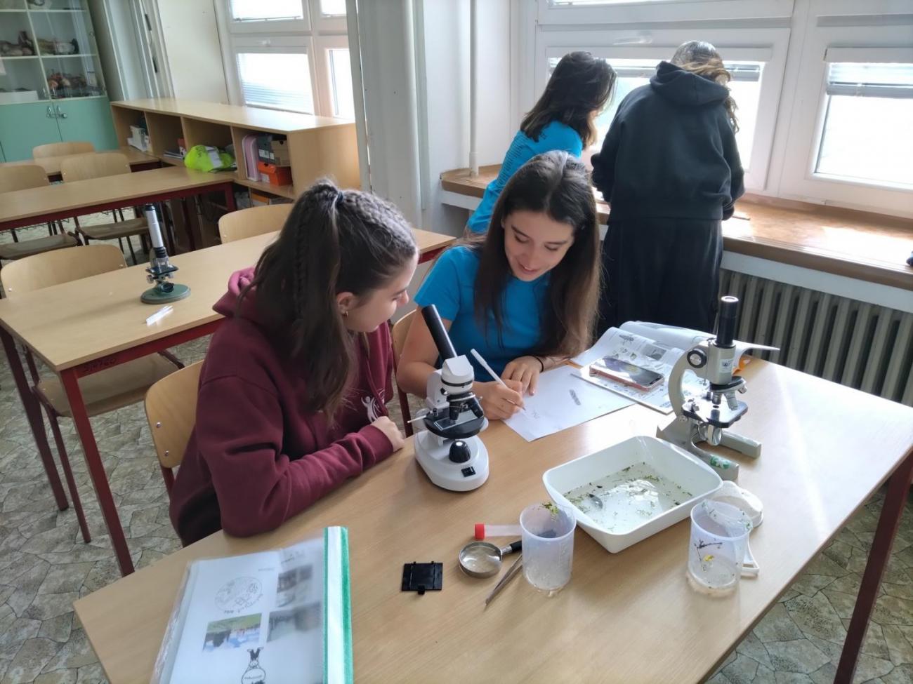 Waterproject - Výměnný pobyt s Holanďany