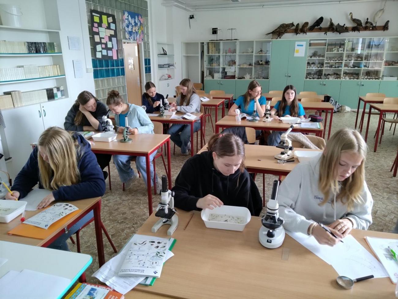 Waterproject - Výměnný pobyt s Holanďany