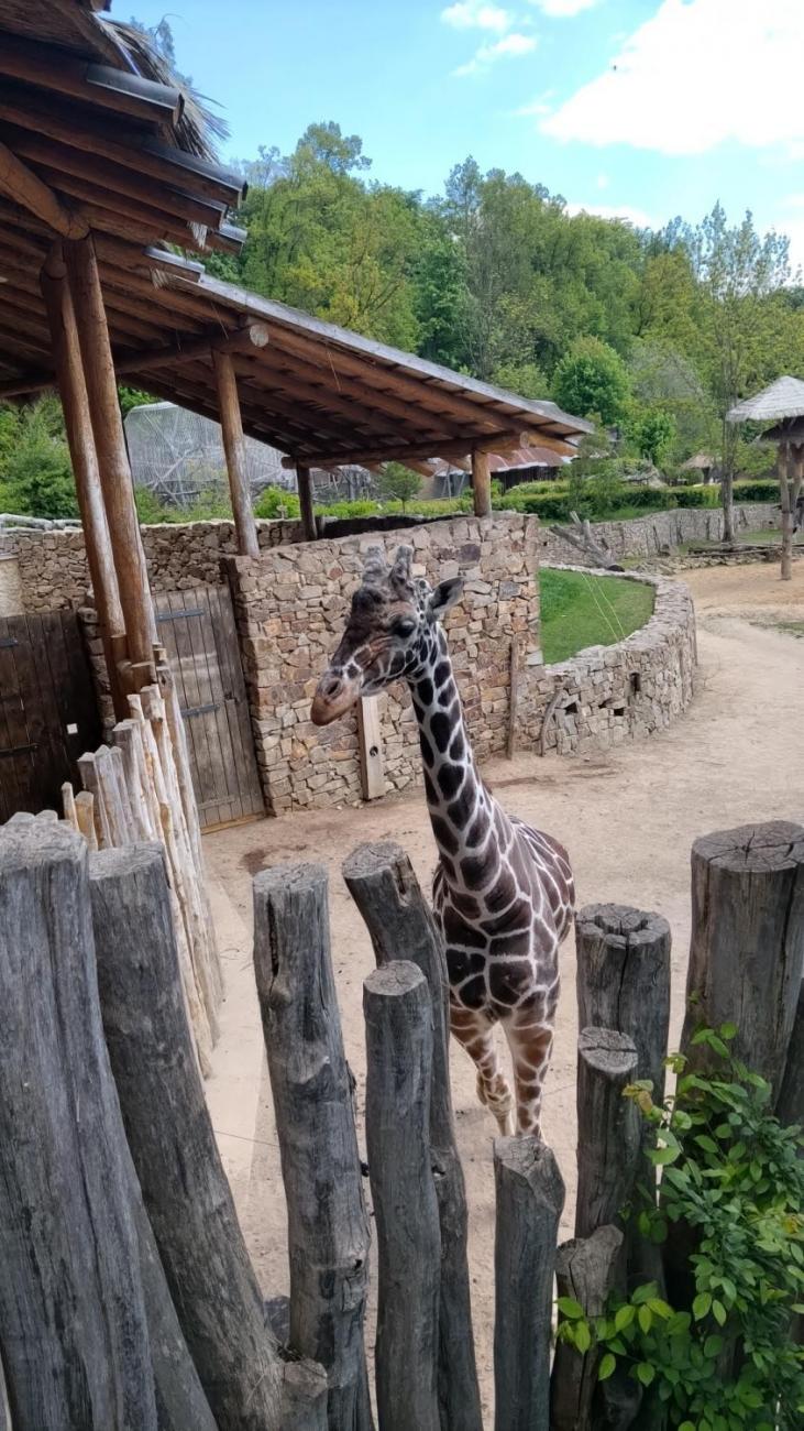 Waterproject - Výměnný pobyt s Holanďany