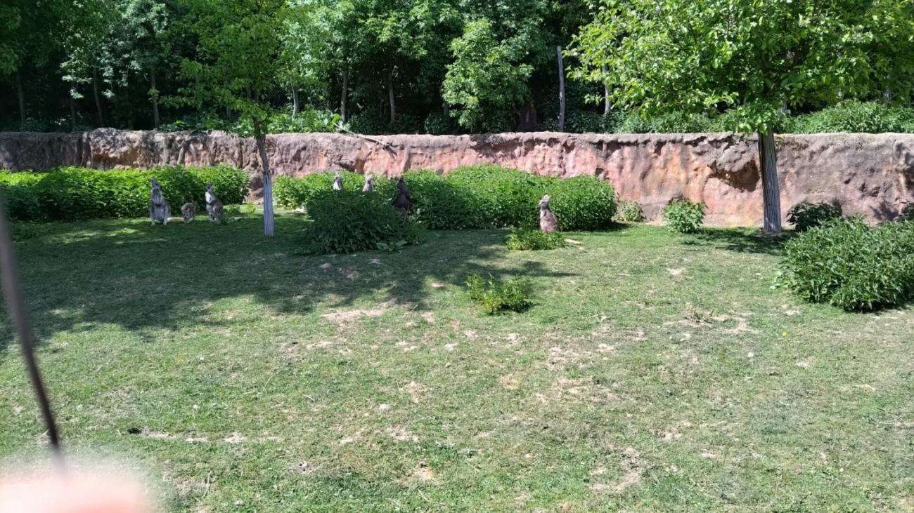 Waterproject - Výměnný pobyt s Holanďany