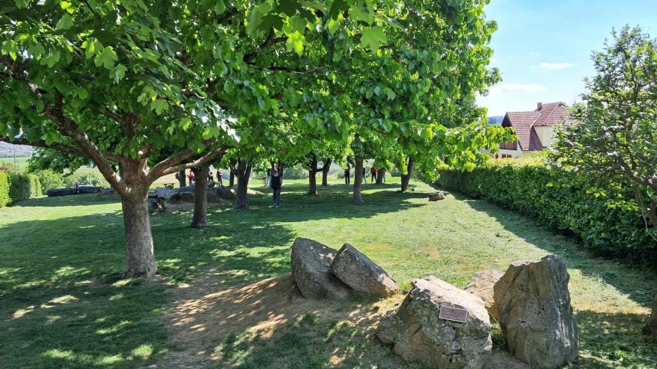 Waterproject - Výměnný pobyt s Holanďany