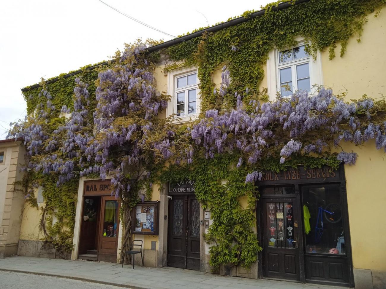 Waterproject - Výměnný pobyt s Holanďany