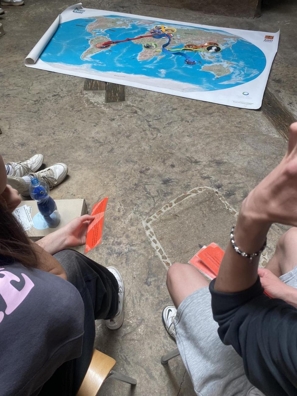 Pochybné suvenýry: Zoo Jihlava