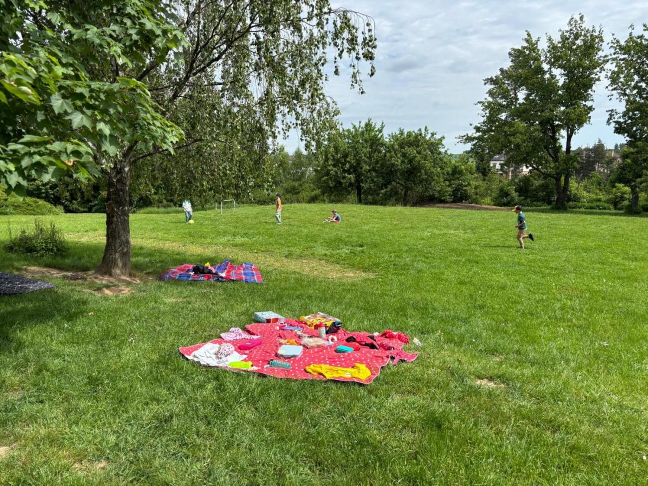 Třídní piknik na školní zahradě  1.B