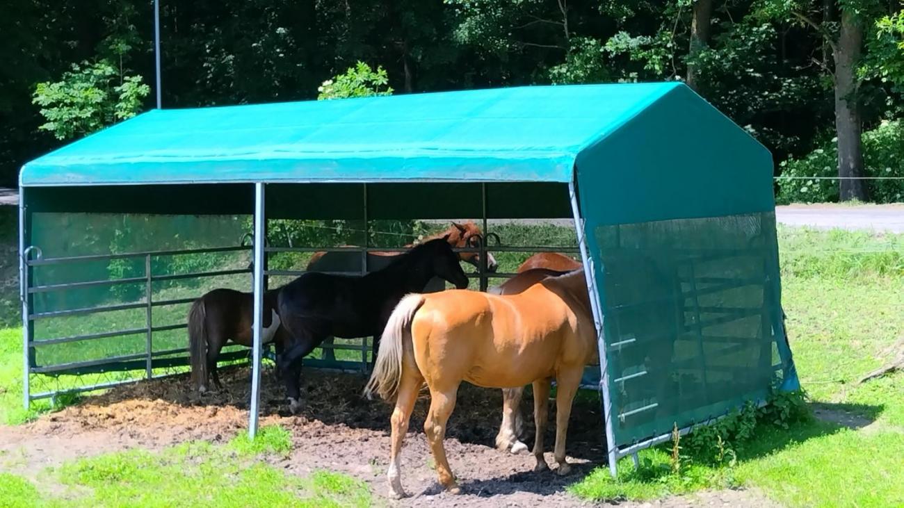 Spolupráce 7.C s klienty DTS Jihlava