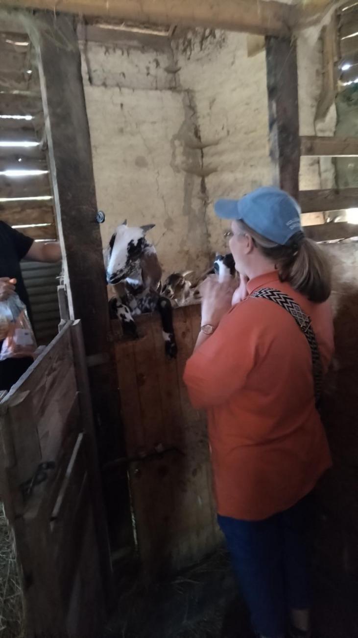 Spolupráce 7.C s klienty DTS Jihlava