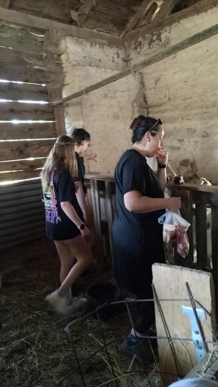 Spolupráce 7.C s klienty DTS Jihlava