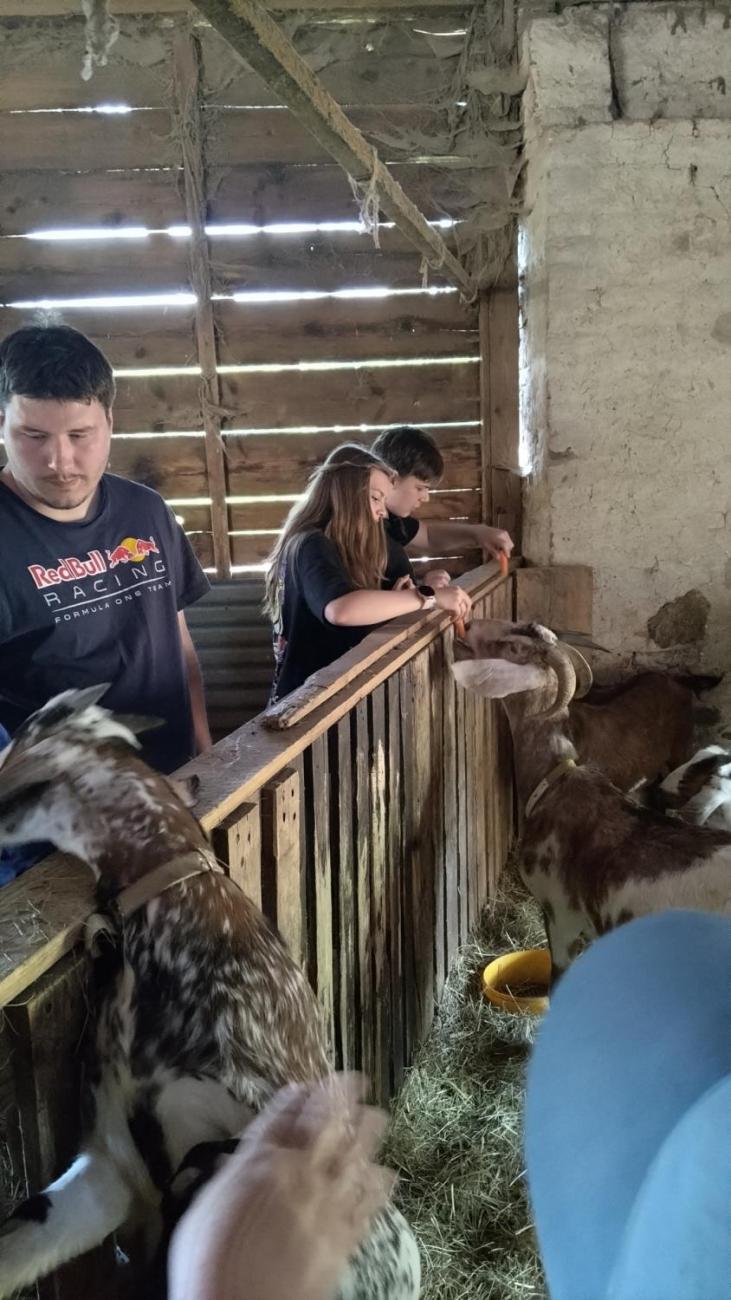 Spolupráce 7.C s klienty DTS Jihlava