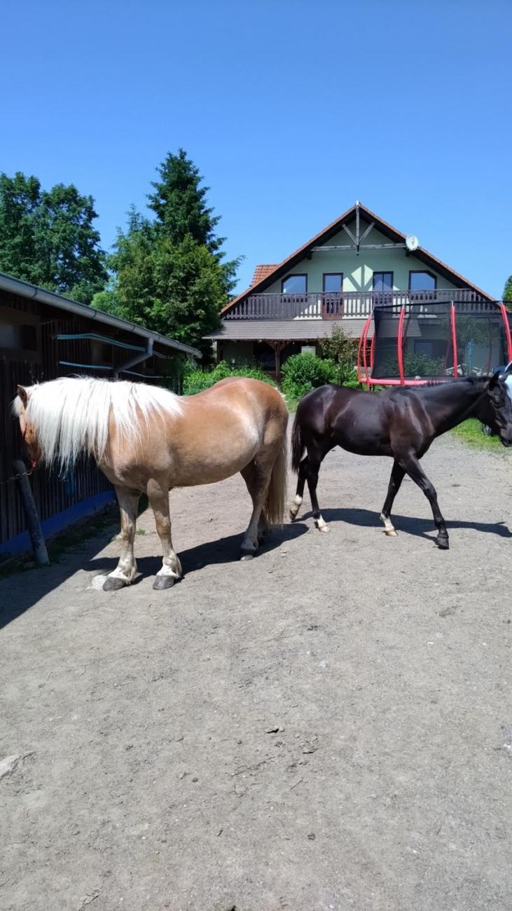 Spolupráce 7.C s klienty DTS Jihlava