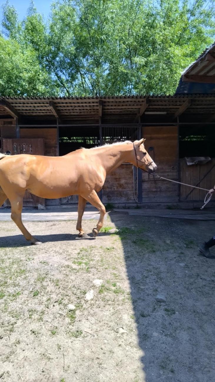 Spolupráce 7.C s klienty DTS Jihlava