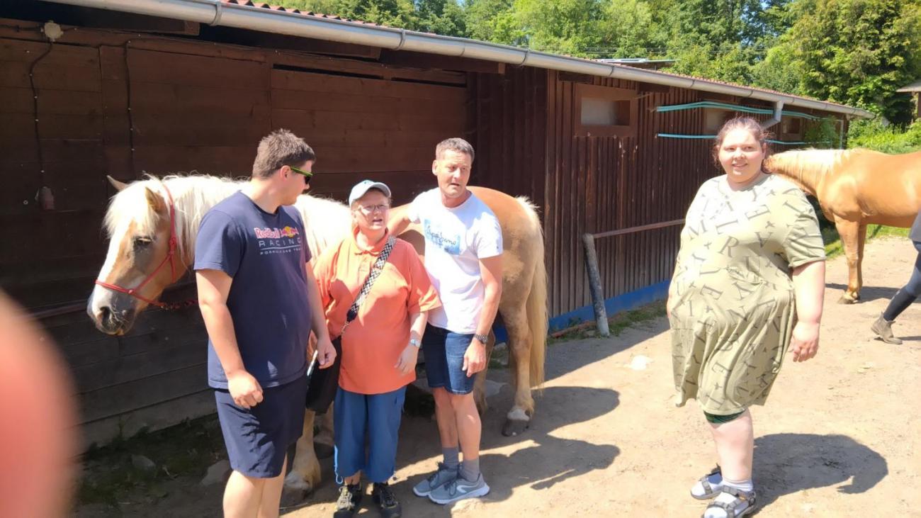 Spolupráce 7.C s klienty DTS Jihlava