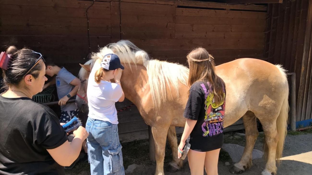 Spolupráce 7.C s klienty DTS Jihlava