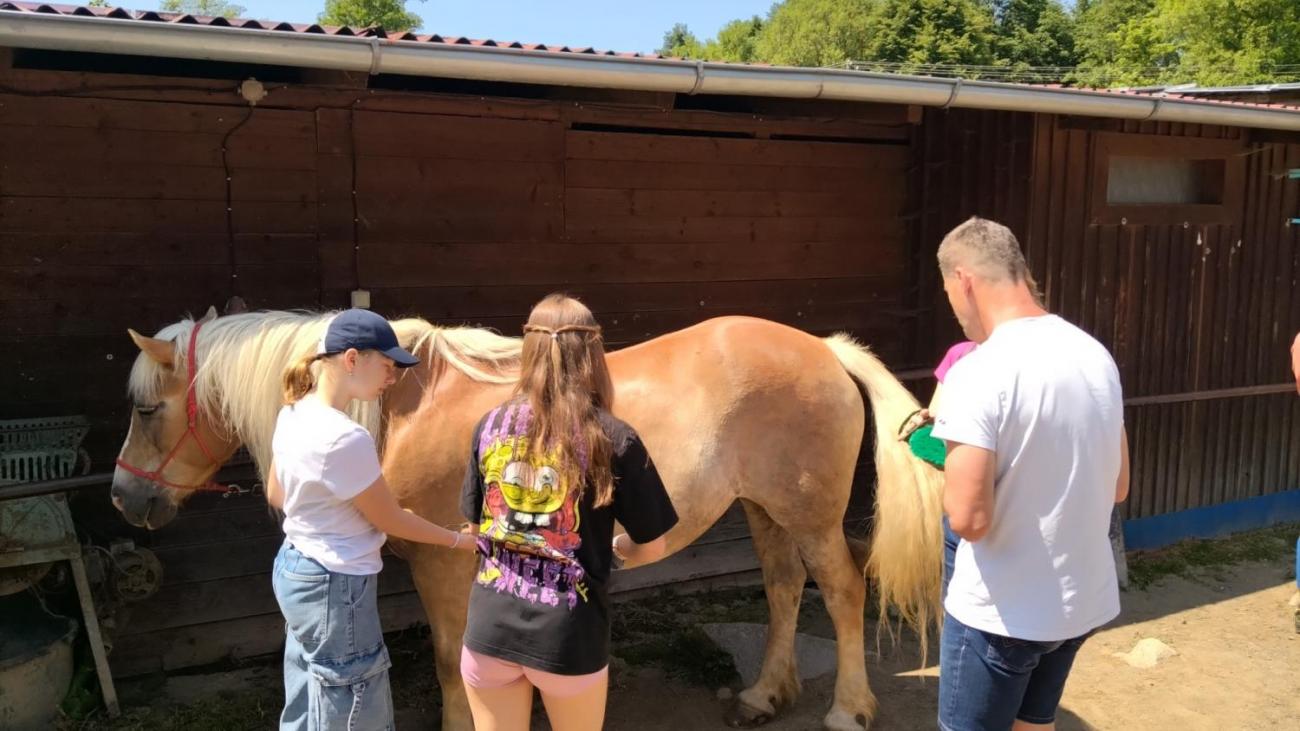 Spolupráce 7.C s klienty DTS Jihlava