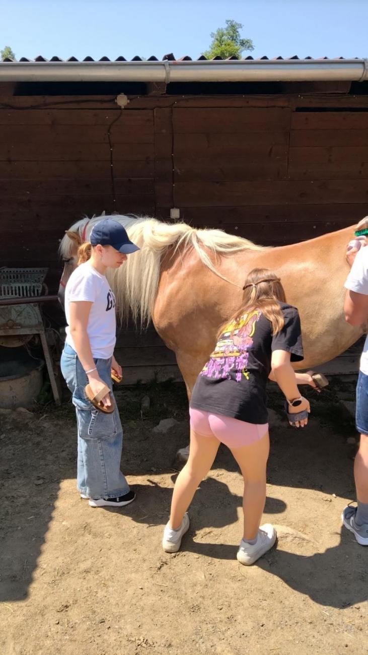 Spolupráce 7.C s klienty DTS Jihlava