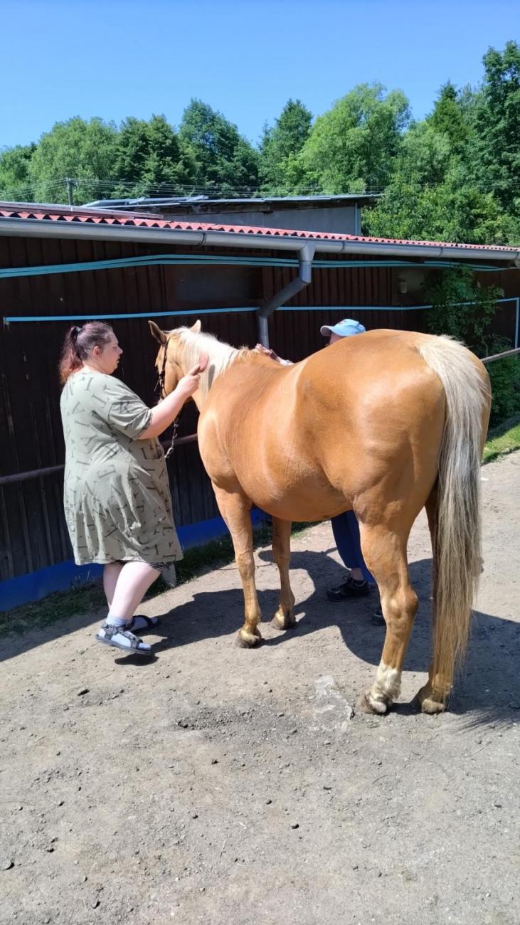 Spolupráce 7.C s klienty DTS Jihlava